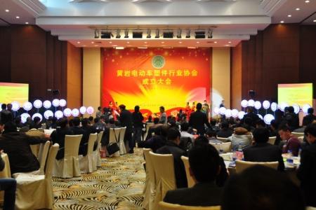 众志成城 成就未来------黄岩电动车塑件行业协会成立
