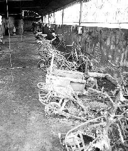 电动车充电需小心  安全问题不容忽视