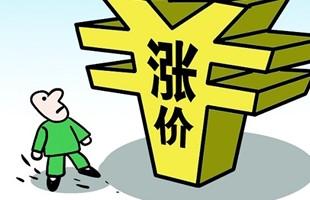 涨价风波下，消费者如何维护电池