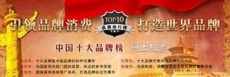 2013中国电动车十大品牌排行榜荣耀出炉