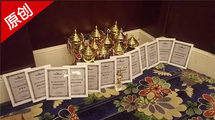 丽驰独揽十奖，看丽驰是如何华丽蝶变